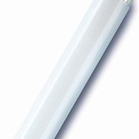Лампа люминесцентная L 36W/640 36Вт T8 4000К G13 смол. OSRAM, изображение 1
