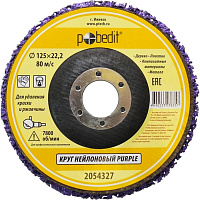 Круг (коралл) полимерный зачистной D125мм ОРАНЖЕВЫЙ X-PERT, изображение 1