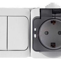 Мурманск Блок розетка 1-м 16А с заземлением с крышкой + 2-кл выключатель IP54 серый EKF, изображение 1